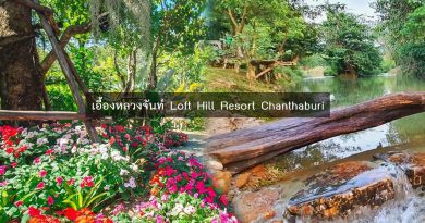 เอื้องหลวง จันท์ Loft Hill Resort Chanthaburi