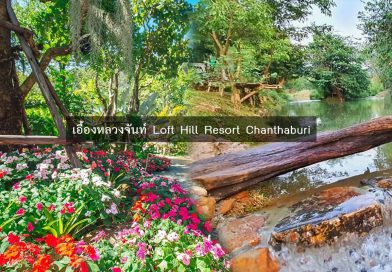 เอื้องหลวง จันท์ Loft Hill Resort Chanthaburi