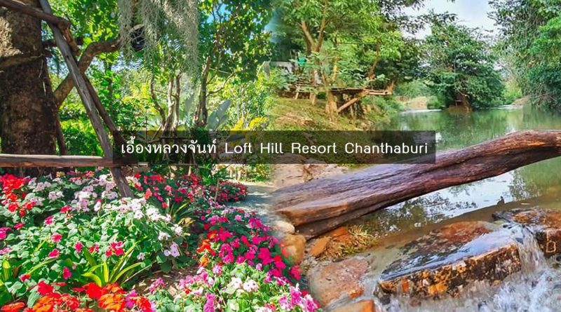 เอื้องหลวง จันท์ Loft Hill Resort Chanthaburi